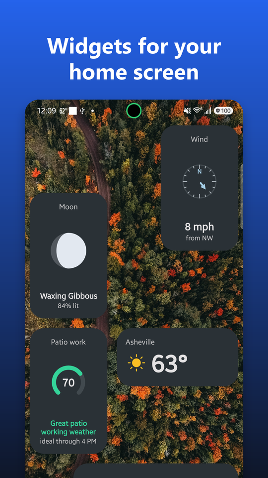 Moon, wind, patio work and temperature widgets over an autumn forest wallpaper